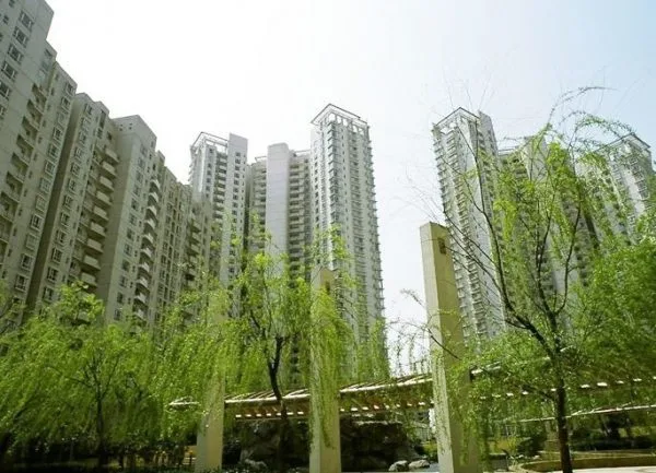 江臨天下