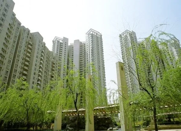 江臨天下