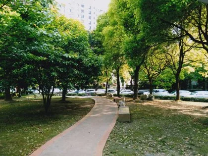 敷地内1