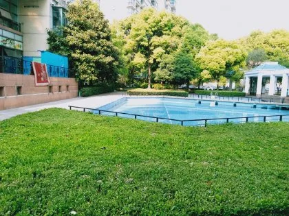 敷地内2