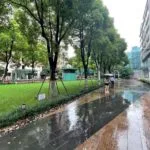 敷地内：緑地