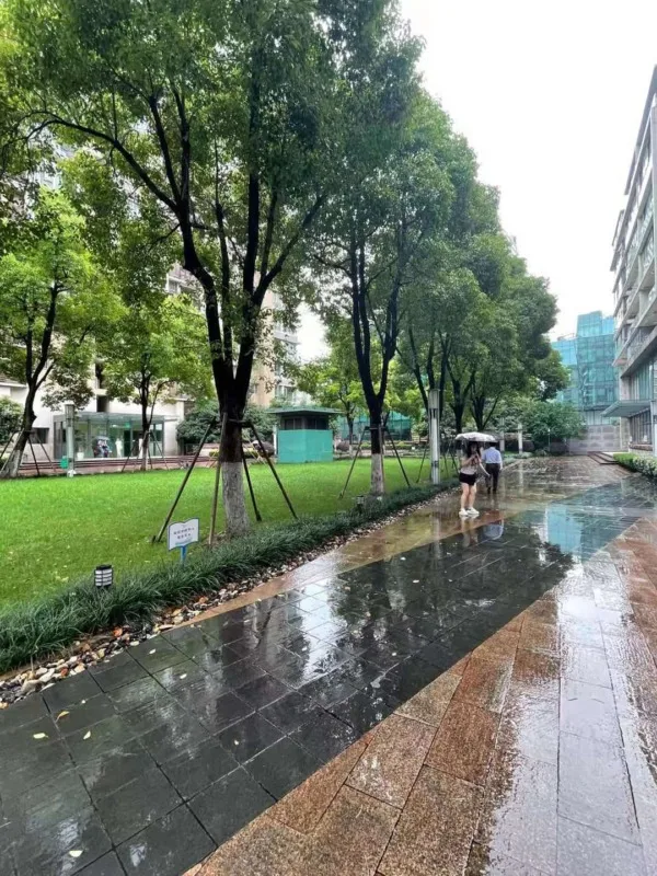 敷地内：緑地